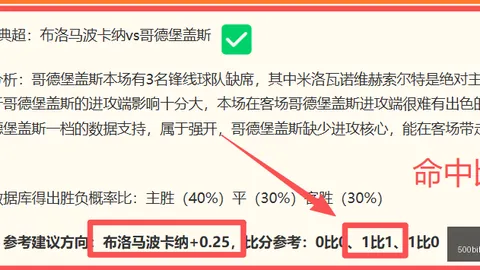 500足球，比分直播，比分 110719